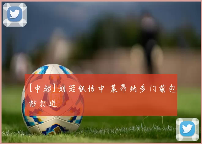 [中超]刘若钒传中 莱昂纳多门前包抄打进