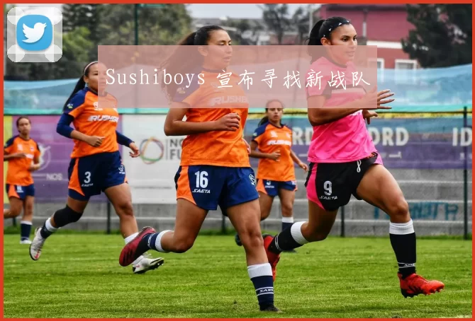 Sushiboys 宣布寻找新战队